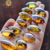 Fossil Amber Marquise Shape Cabochons